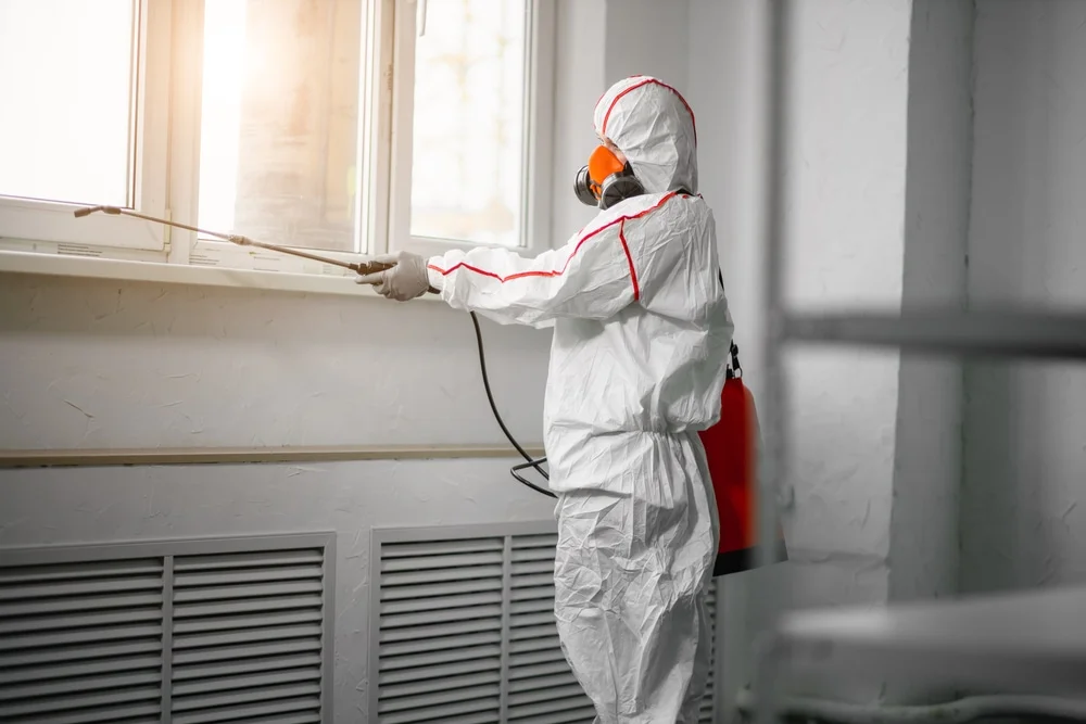 Professional mold remediation services in Plainfield, IL